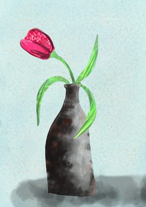 Tulip